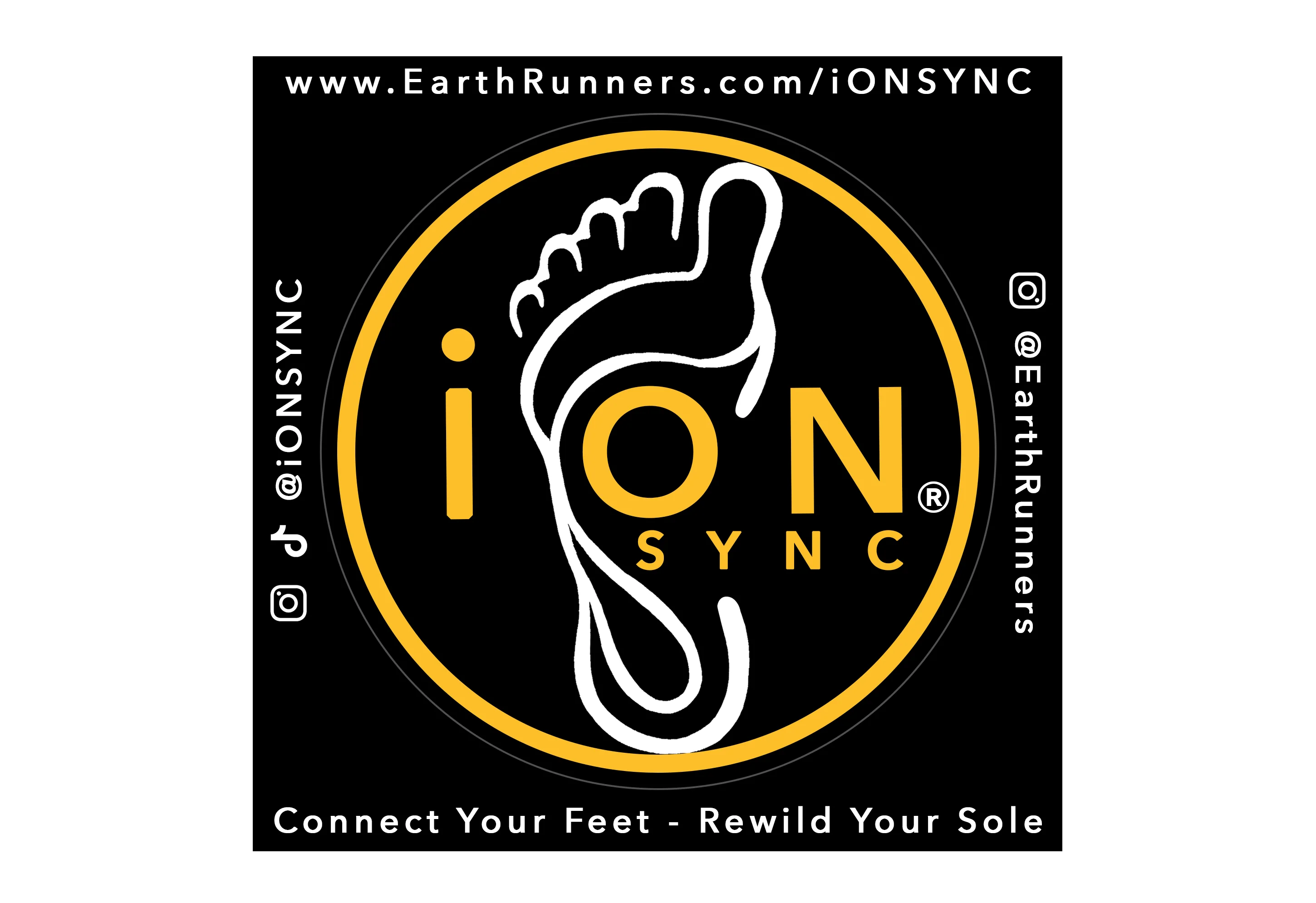 iON SYNC® Stickers (x2) - Image 2