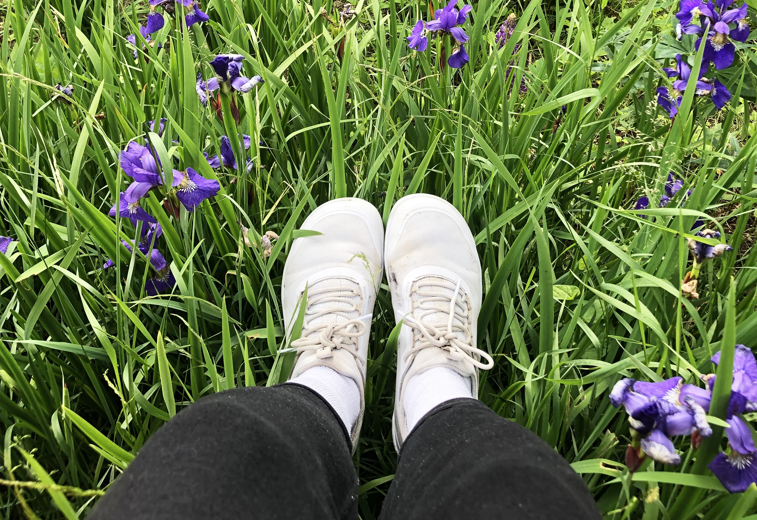iON SYNC® Tolos Shoes - Image 18