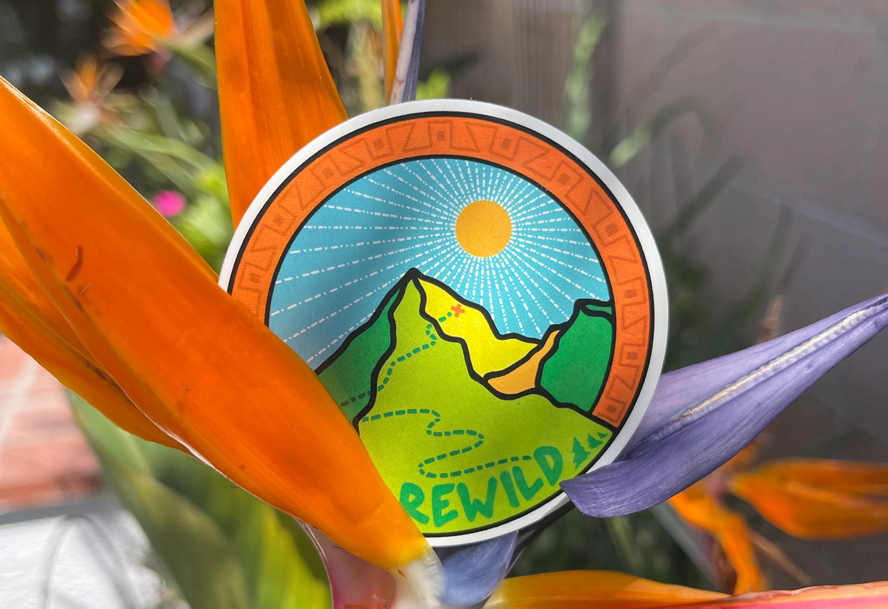 Rewild Sticker - Image 5