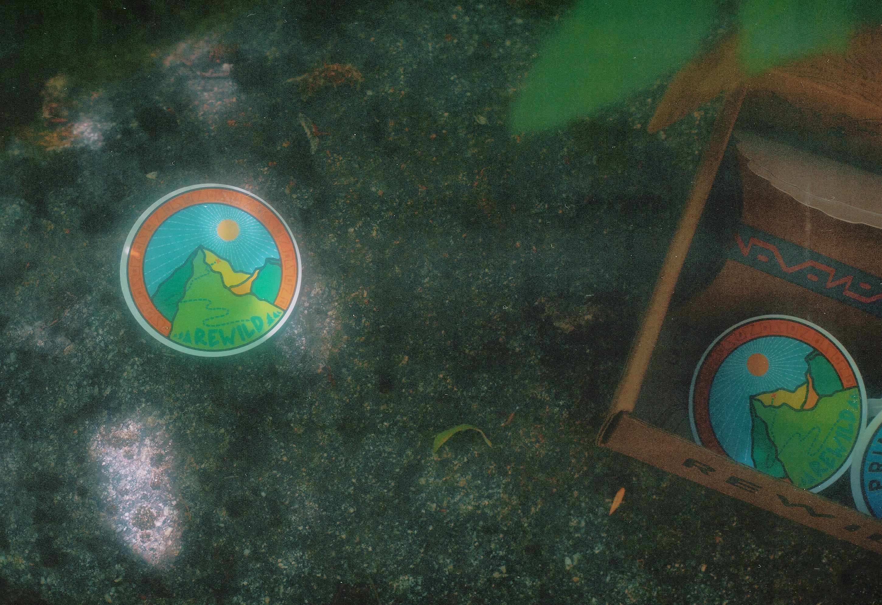 Rewild Sticker - Image 6
